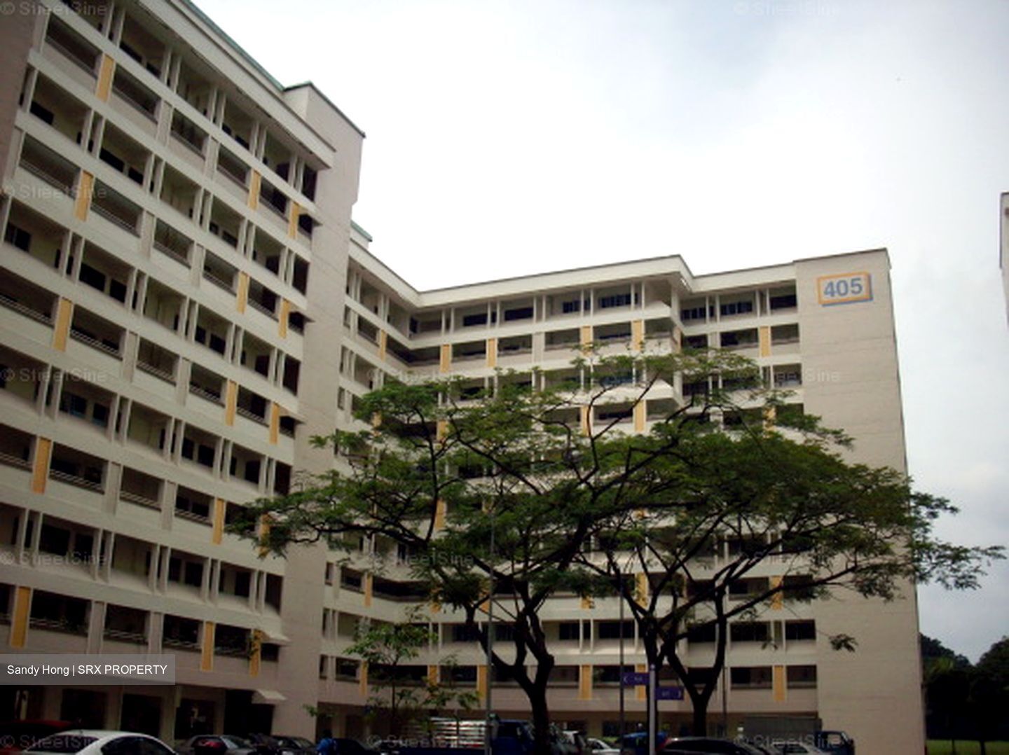 Blk 405 Hong Kah Court (Jurong West), HDB Executive #618152701